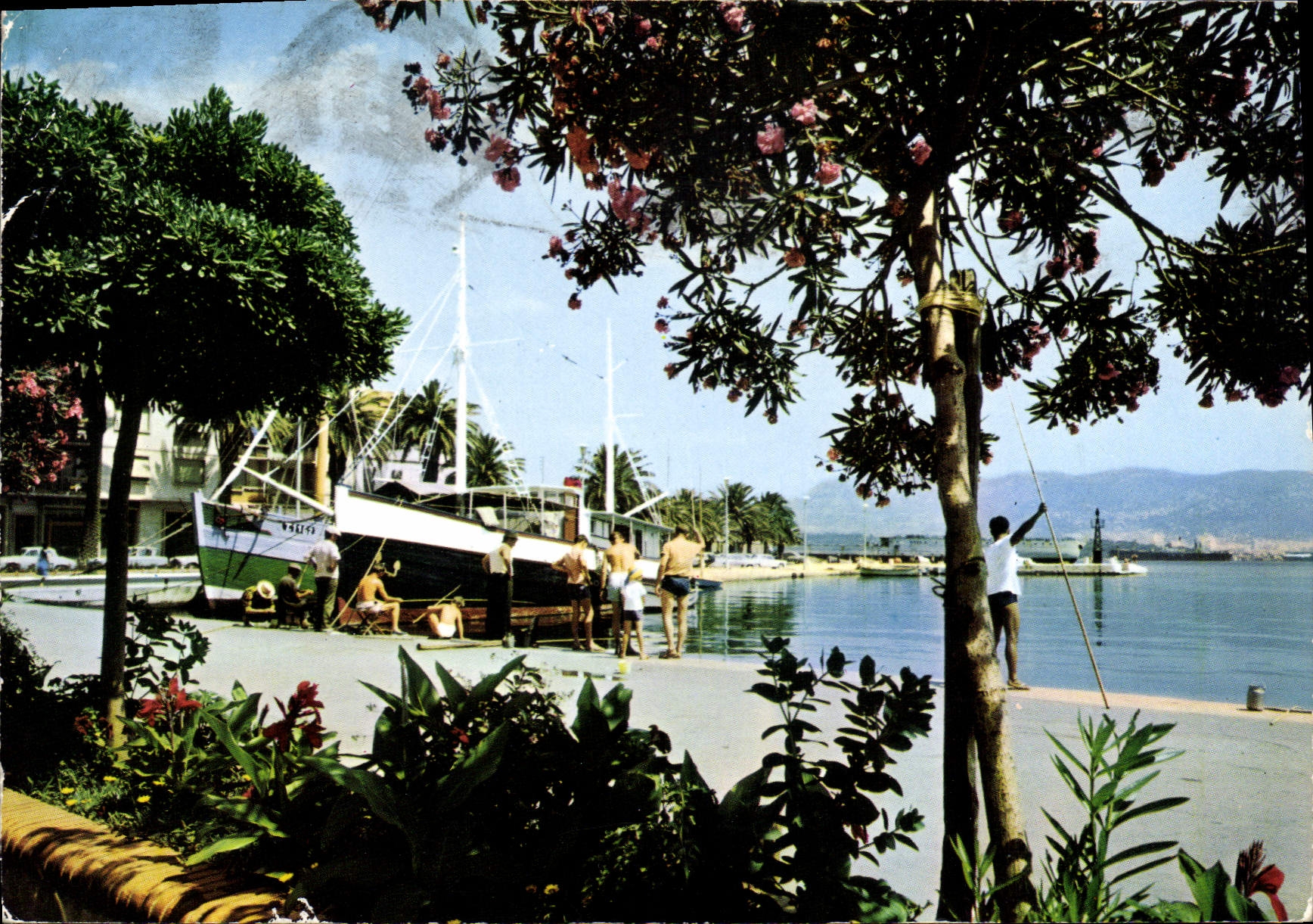 La Seyne-sur-Mer — Port avec bateau de pêche — Éditions Couleur Naturelle, n° 562