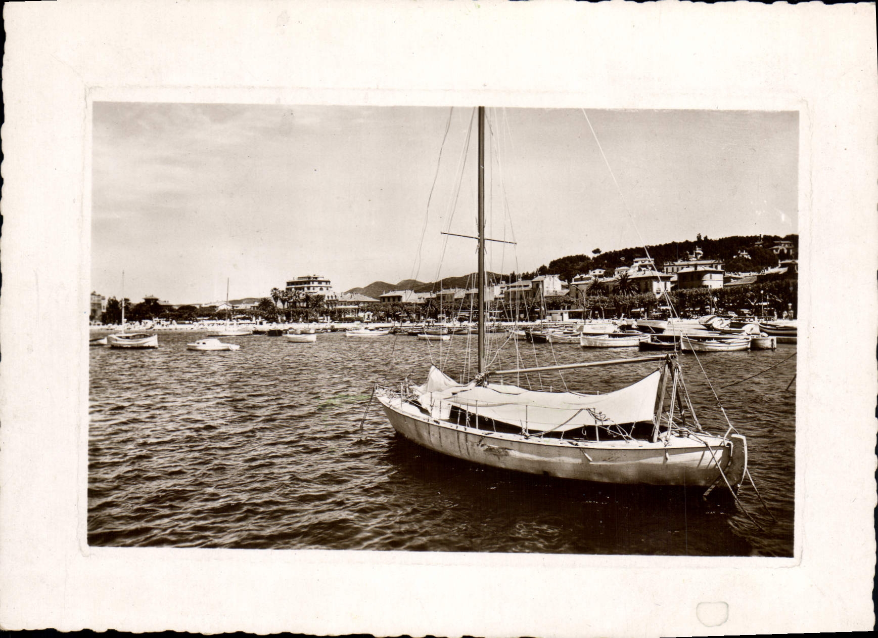 Sainte-Maxime-sur-Mer — Vue du Port — Société Éditions de la Libération, n° 5115