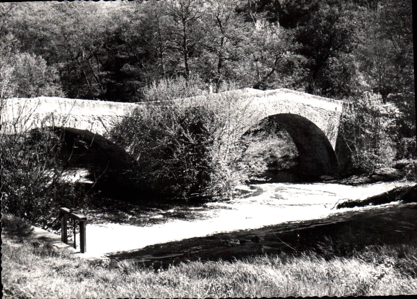 Brücke über den Caramy — Brignoles — Édition Bellof — n°13