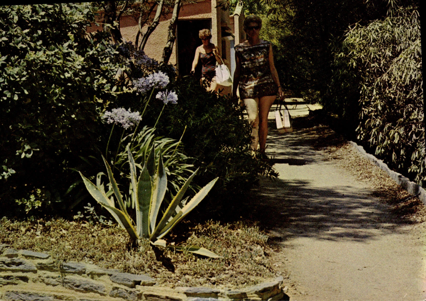 Allée du Village de Vacances du Touring-Club de France à Pramousquier — Éditions P.I. de Wagram, n°9023