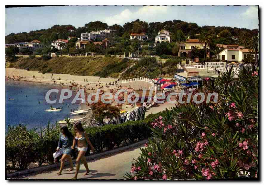Plage de Port-Issol — Sanary-sur-Mer — éditeur IRIS, n° 83.123/47