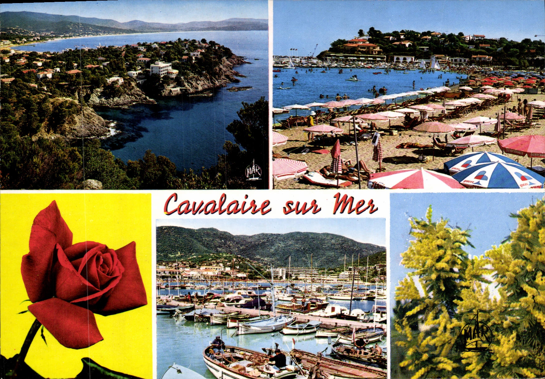CPSM La Cote D'Azur Cavalaire sur Mer La Perle du Var Le Cap La Plage et le Cap Le Port 