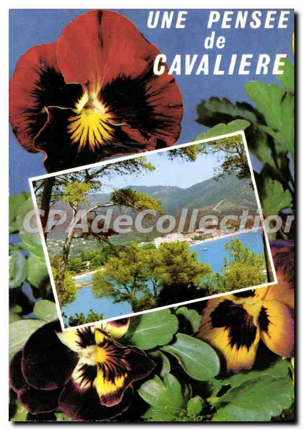 Pansée de Cavalière — Côte d'Azur — Les Editions «MAR» - Anverso