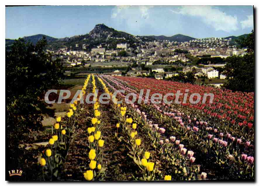 Hyères-les-Palmiers — vue générale — IRIS
