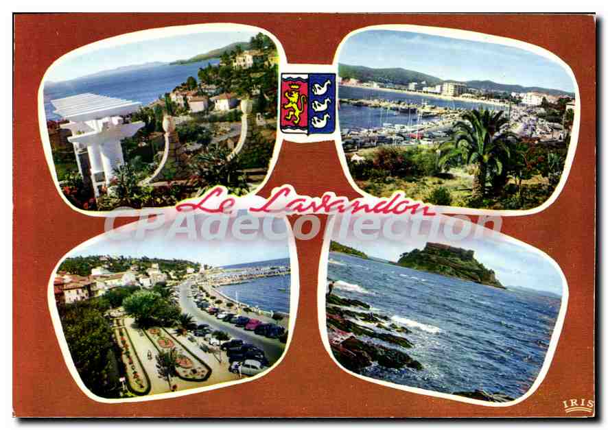 Le Lavandou — vue panoramique — IRIS - Anverso