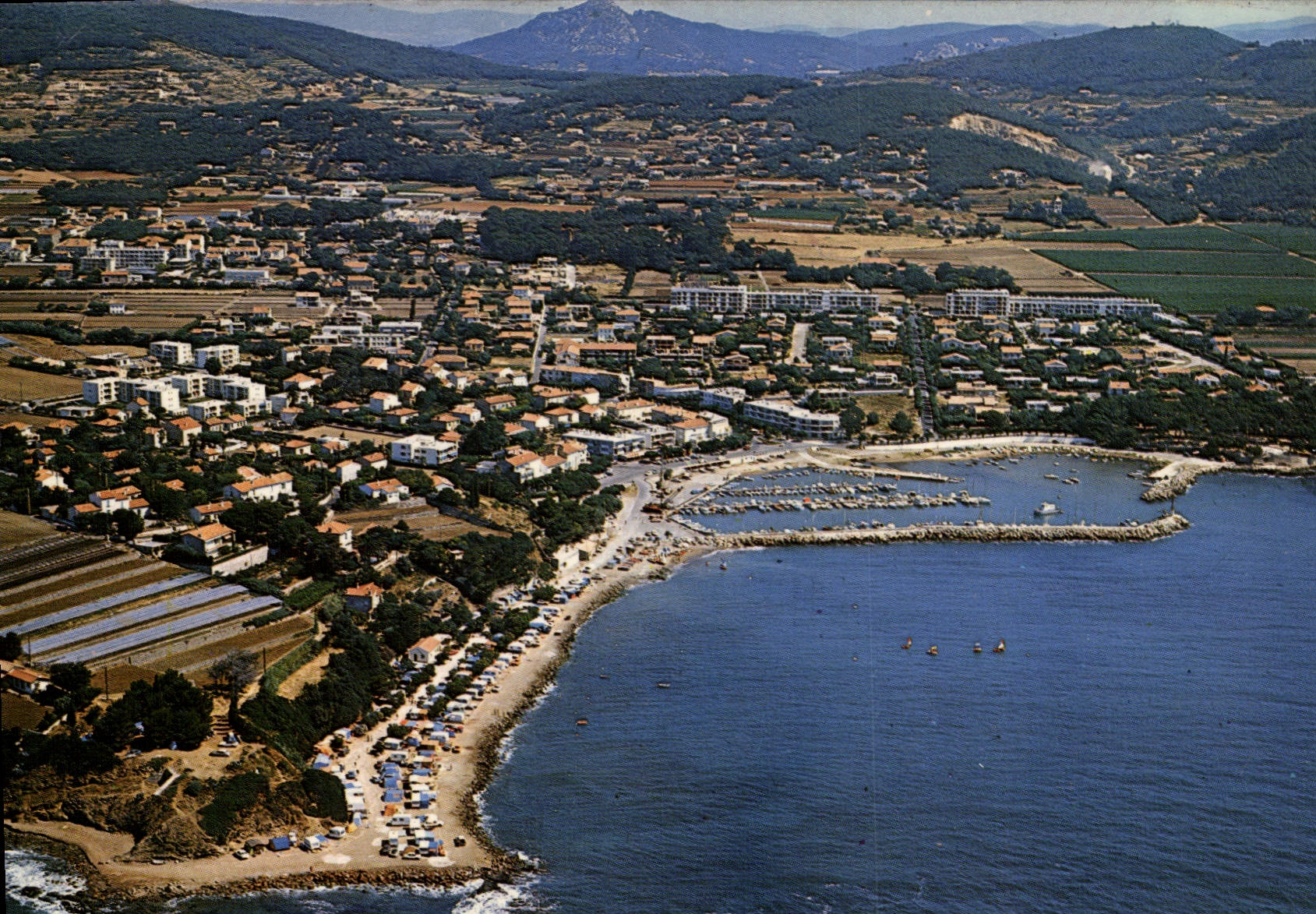 CPSM Carqueiranne Le Port et le Camping 