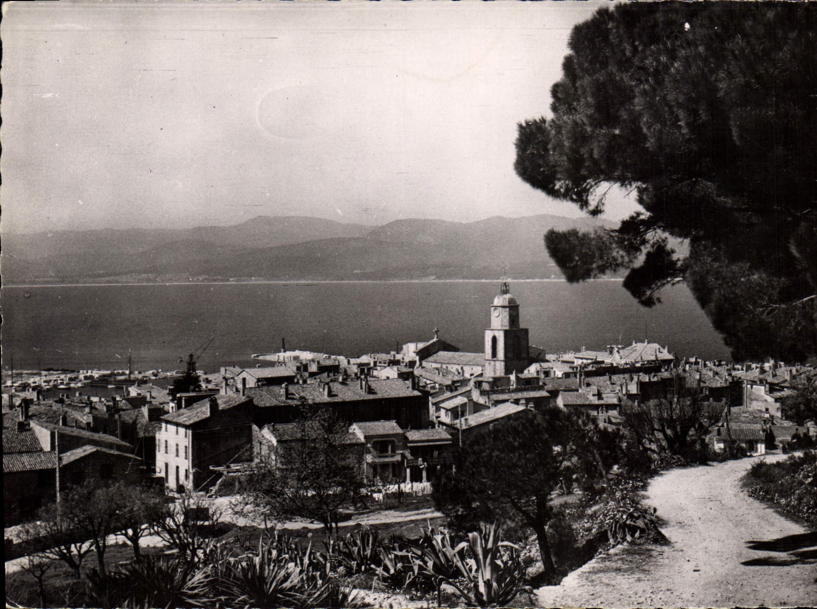 Saint-Tropez — Vue Générale prise du Chemin de la Citadelle — Éditions Henri LAURENET