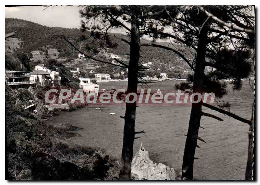 Aiguebelle — Environs du Lavandou — Les Hôtels et la Plage — Édition Photo LEMAR (Var) n°1474