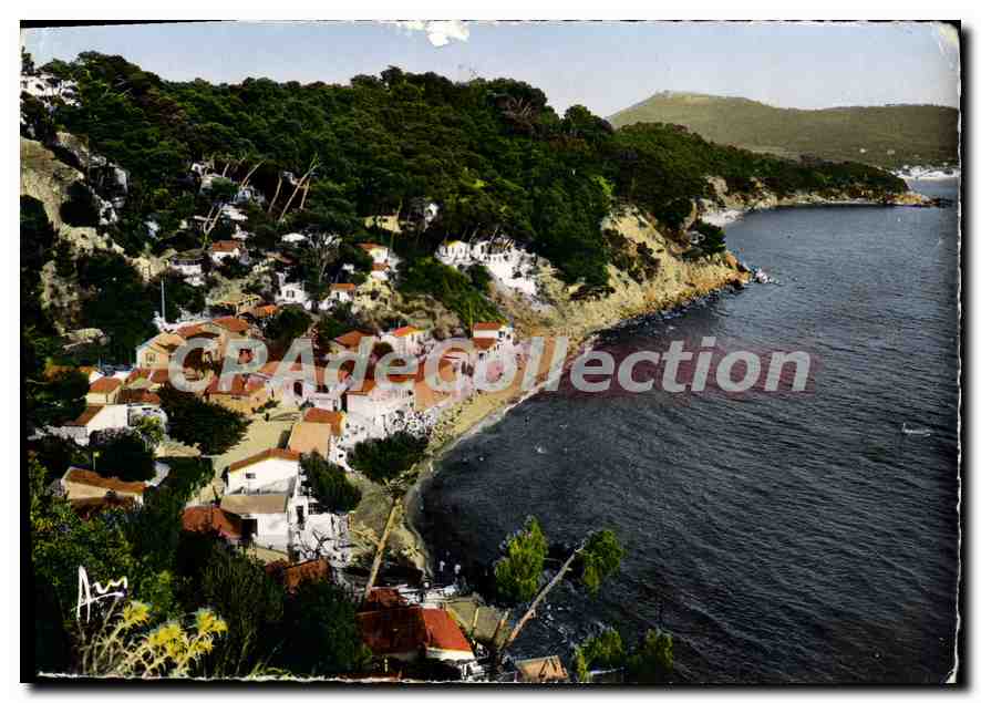 Pin de Galle — Côte d'Azur — Éditions ARIS