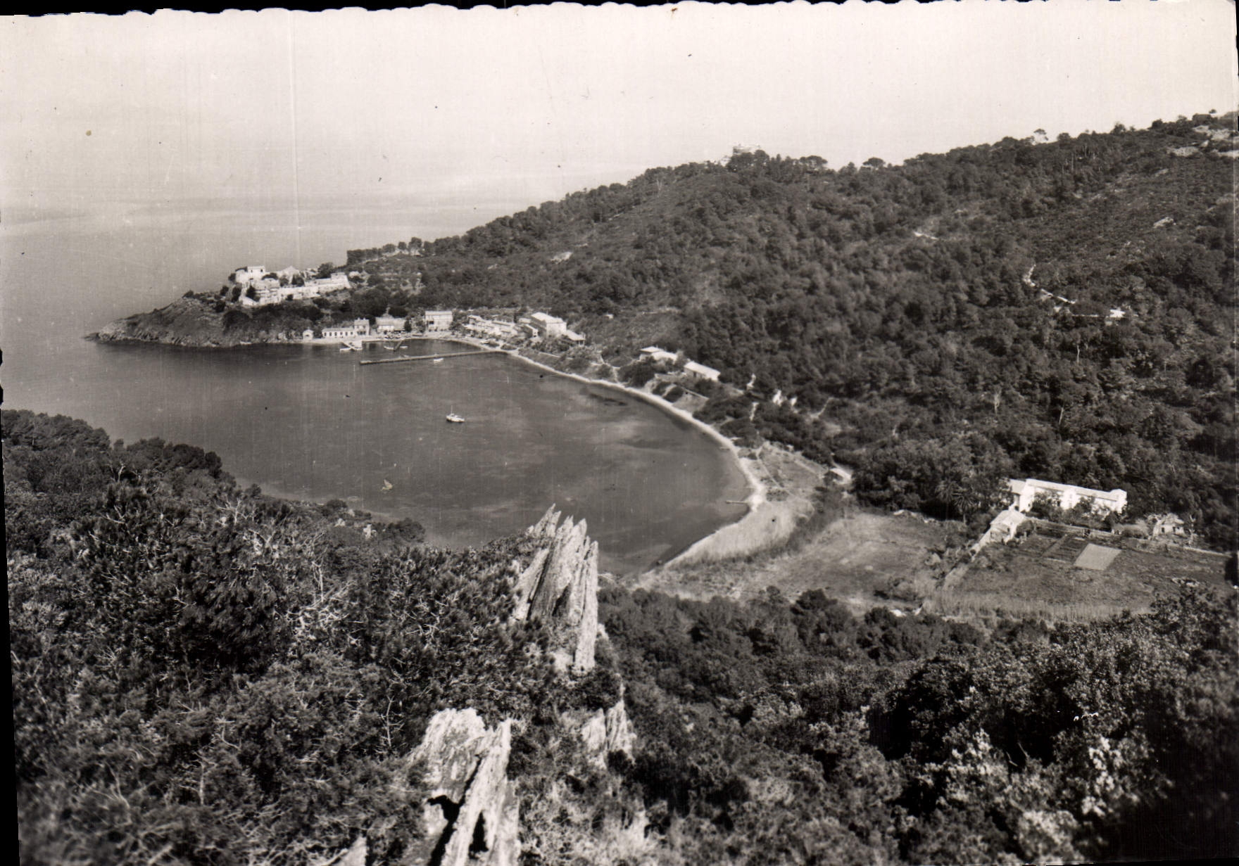 CPSM Les Iles d'Or Ile de Port Gros Vue d'Ensemble de la Baie 