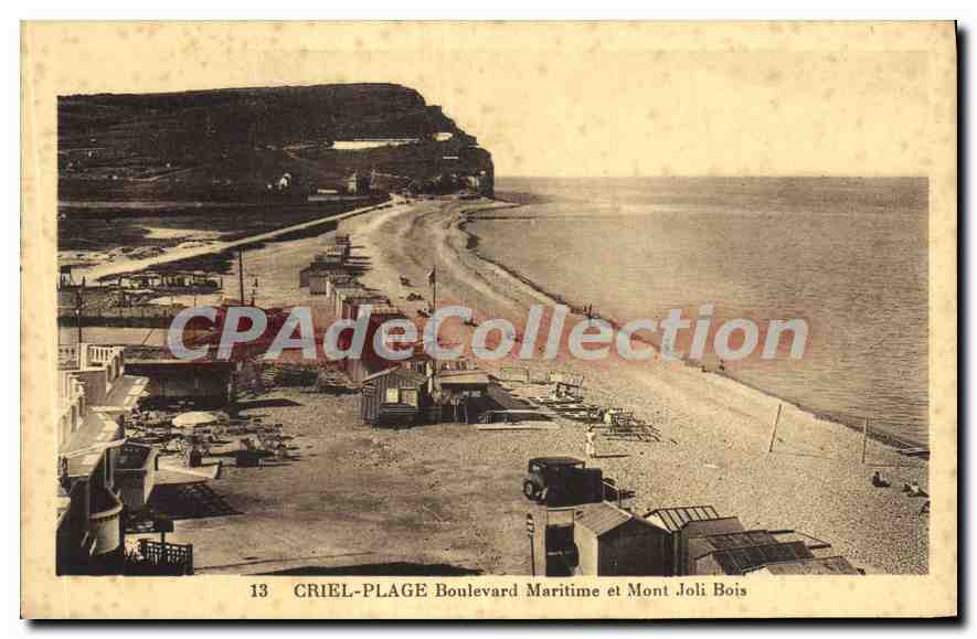 CPA Criel Plage Boulevard Maritime et Mont Jolis Bois 