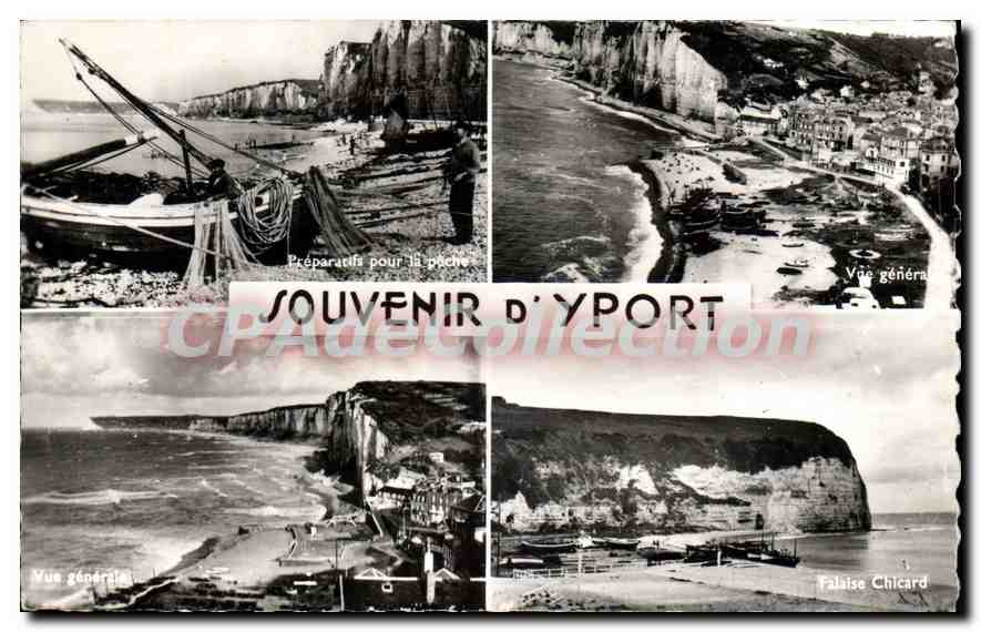 CPA Yport Seine Matirime Vue Generale Falaise Chicard 