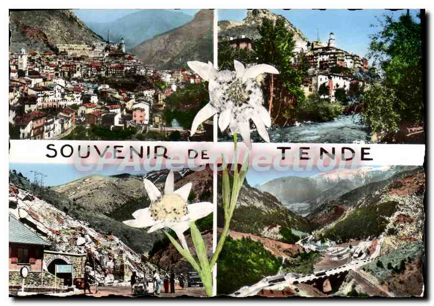 CPA Tende A M Alpes Maritimes 