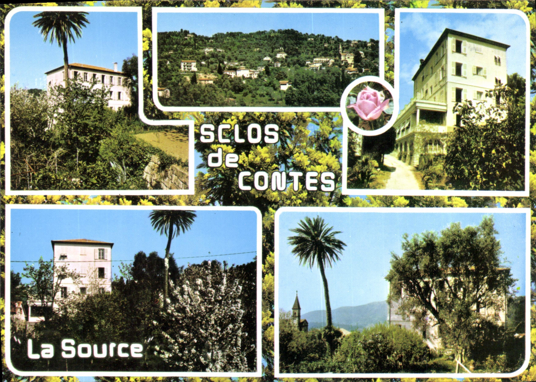 CPA Sclos de Contes Alpes Martitimes La Source 