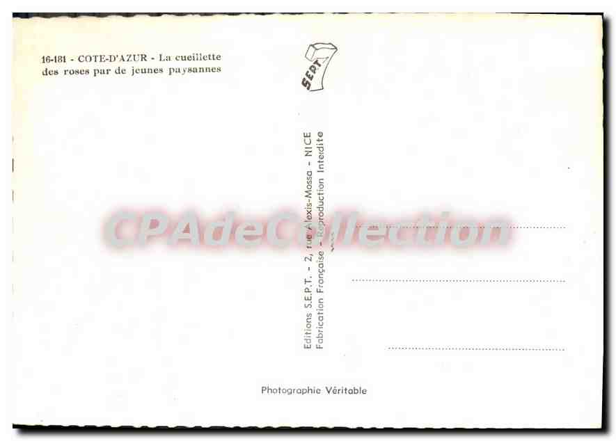 CPSM Cote D'Azur La cueillette des roses par de jeunes paysannes — Verso