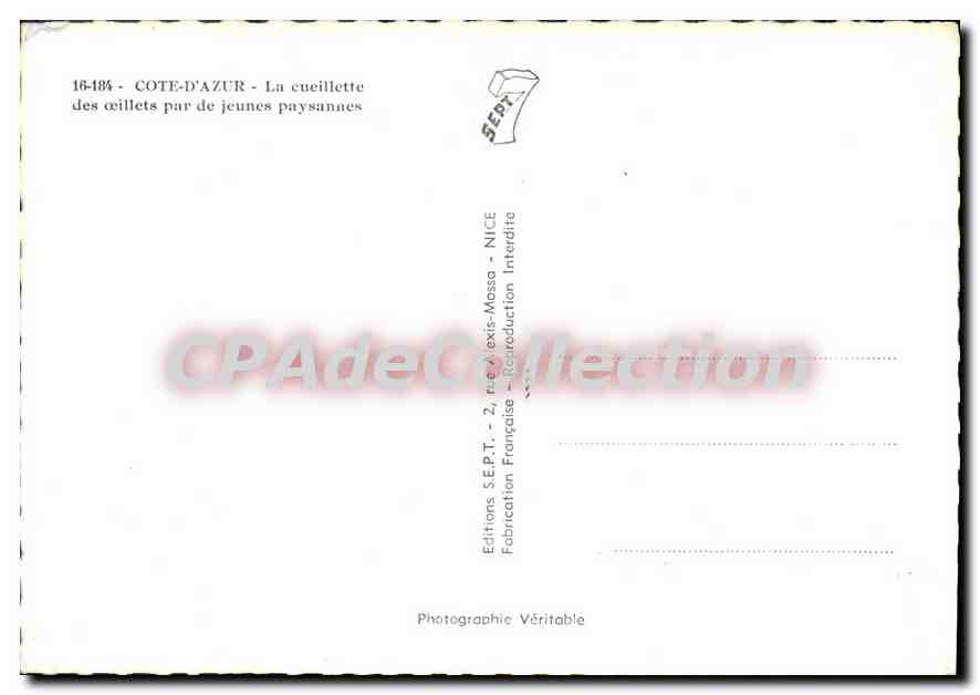 CPSM Cote D'Azur La cueillette des oeillets par de jeunes paysannes  — Verso