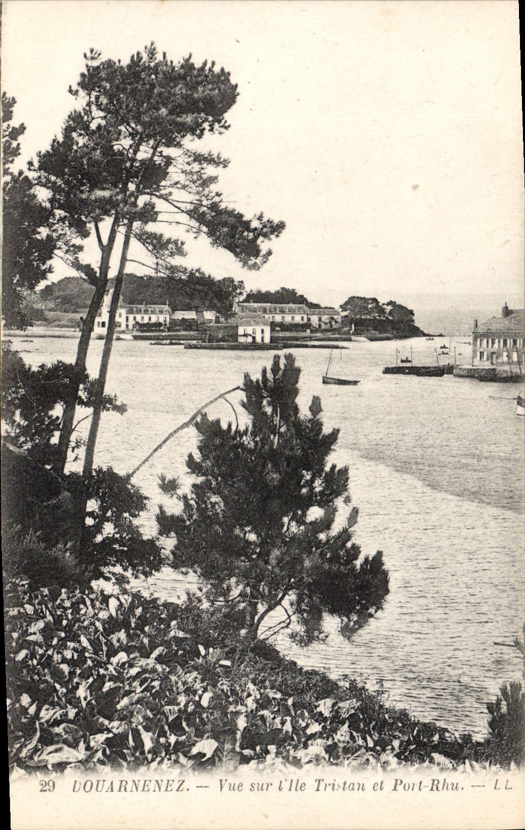 CPA Douarnenez Vue sur l'Ile Tristan et Port Rhu 