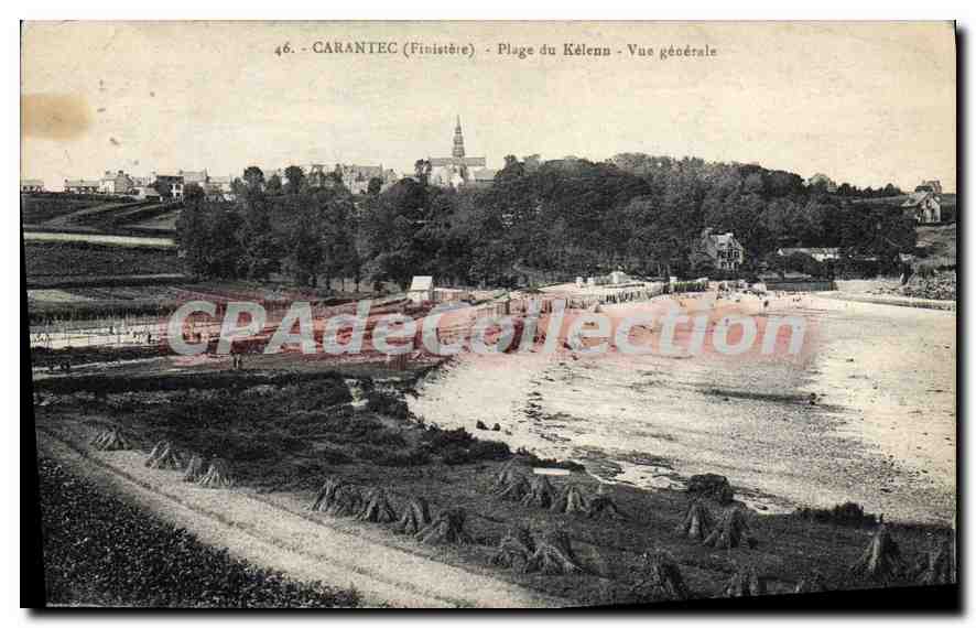 CPA Carantec Finistere Plage du Kelenn Vue generale 