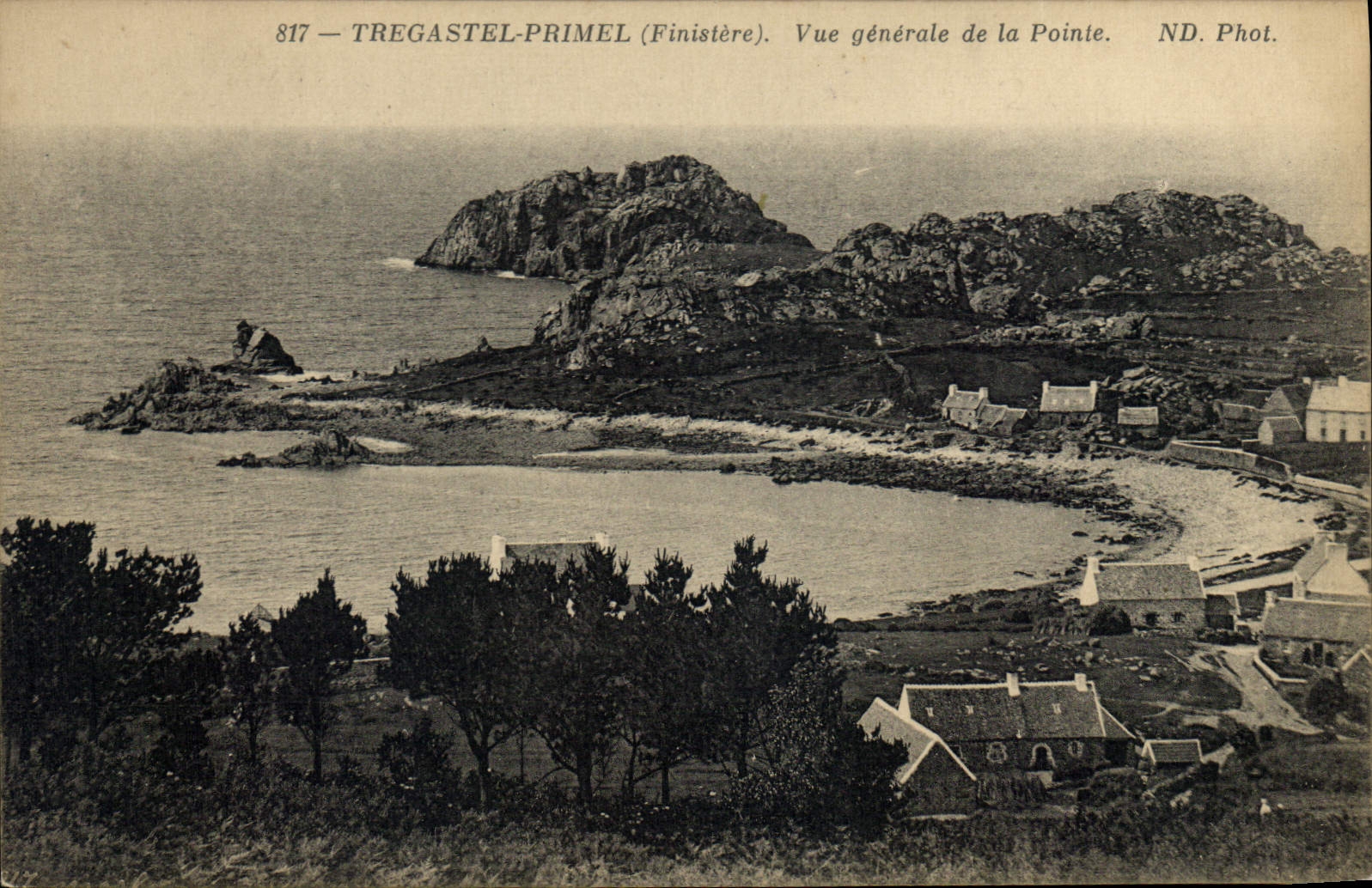 CPA Tregastel Primel Finistere Vue generale de la Pointe 