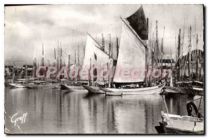 CPA En Bretagne Concarneau Finistere Thoniers dans le port 