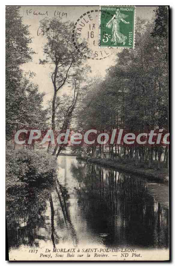 CPA De Morlaix à Saint Pol de Leon Penzé sous bois sur la riviere 