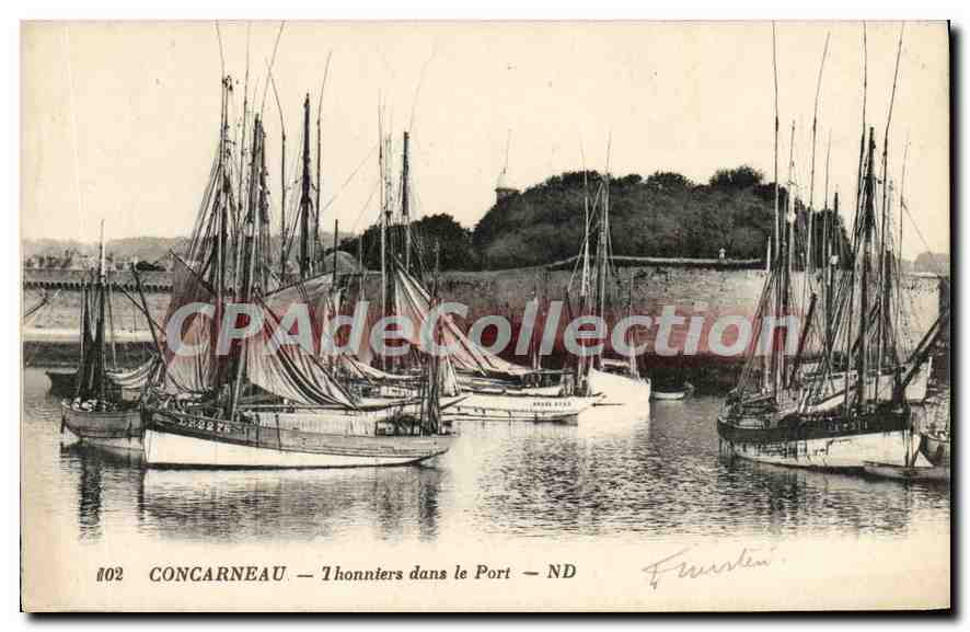 CPA Concarneau Thonniers dans le port 