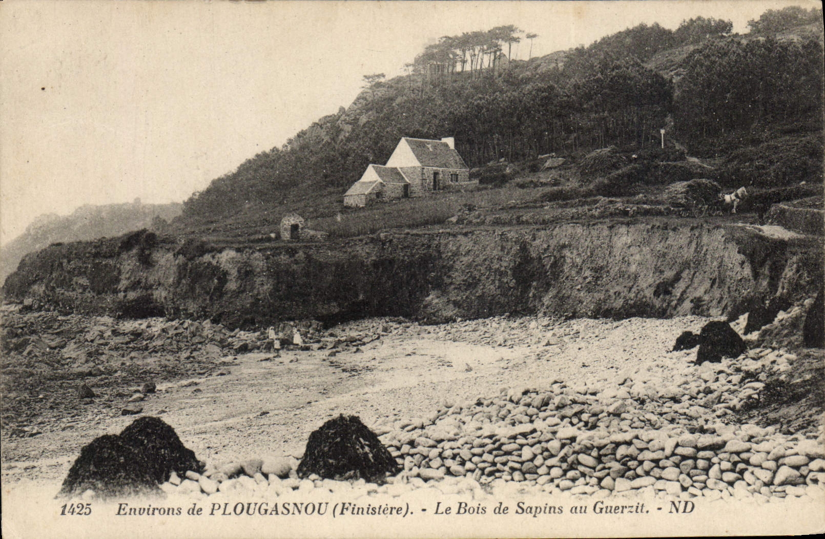 Environs de PLOUGASNOU (Finistère) — Le Bois de Sapins au Guerzit — ND — N° 1425