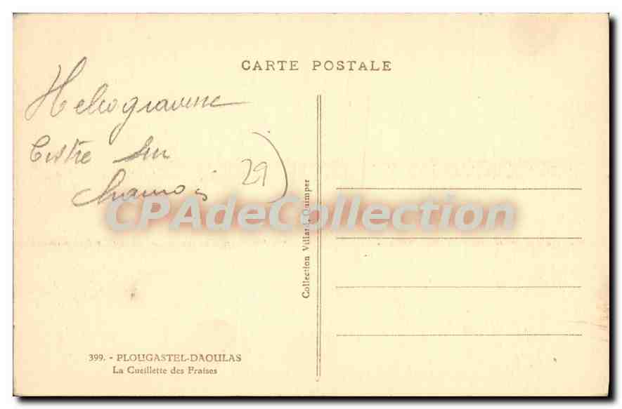 CPA Plougastel Daoulas la Cueillette des Fraises  — Verso