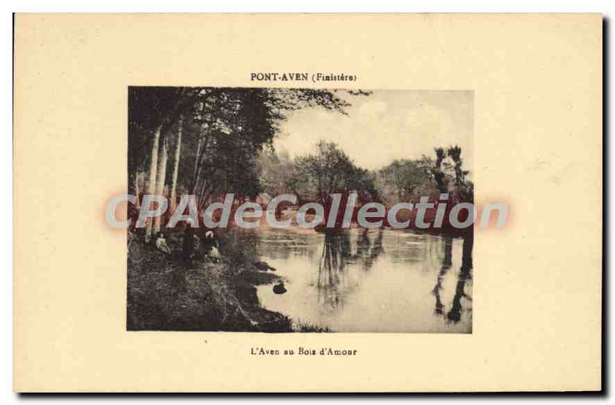 CPA Pont Aven Finistere l'Aven au Bois d'Amour 