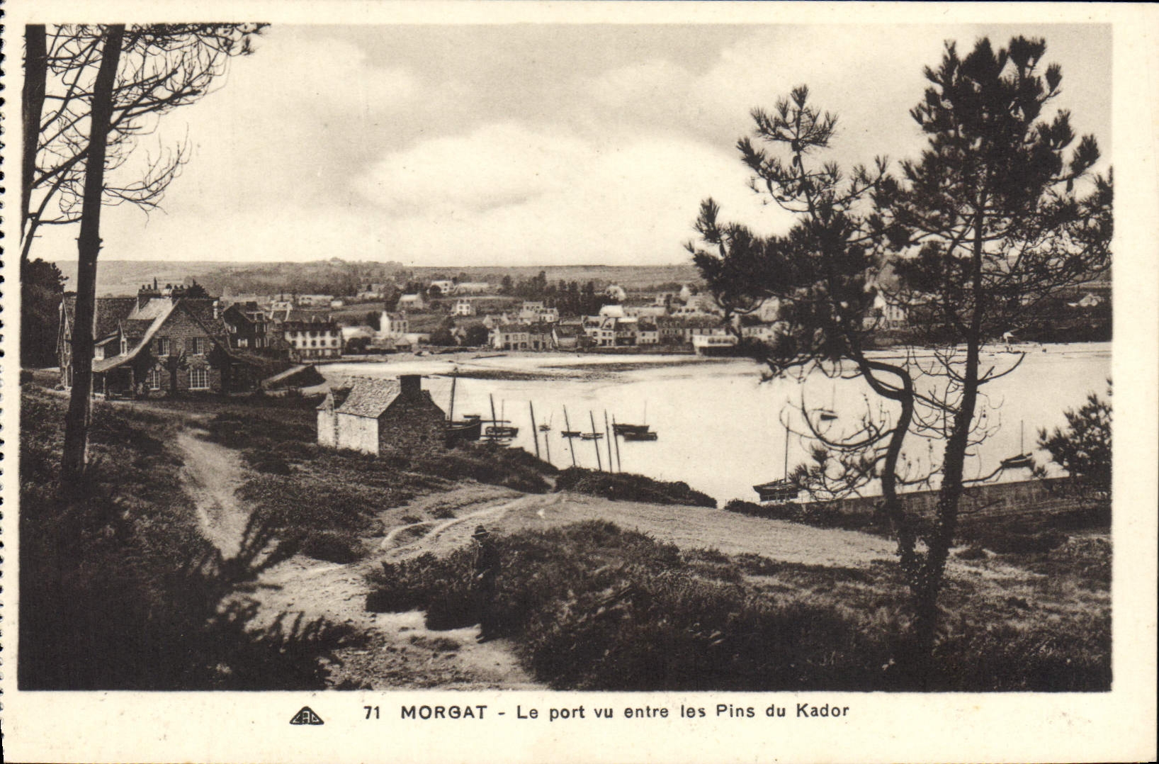 CPA Morgat le port vu entre les Pins du Kador 
