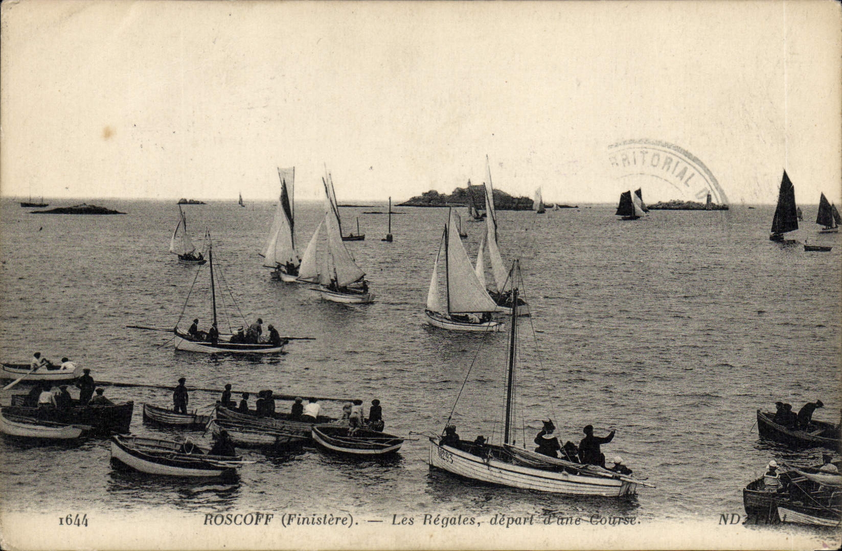 CPA Roscoff Finistere les regates depart d'une Course 