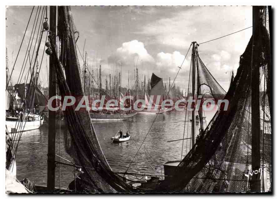 CPA Concarneau Finistere Thoniers au port 