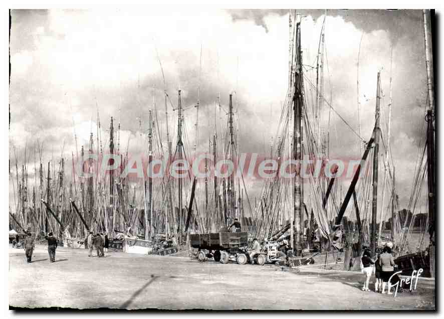 CPA En Bretagne Concarneau Finistere Foret de Mats 