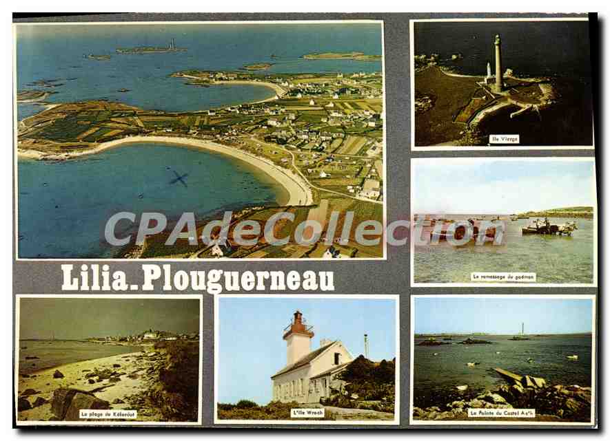 CPSM Lilia Plouguerneau Nord Finistere kélerdut ramassage du goémon ile Wrach