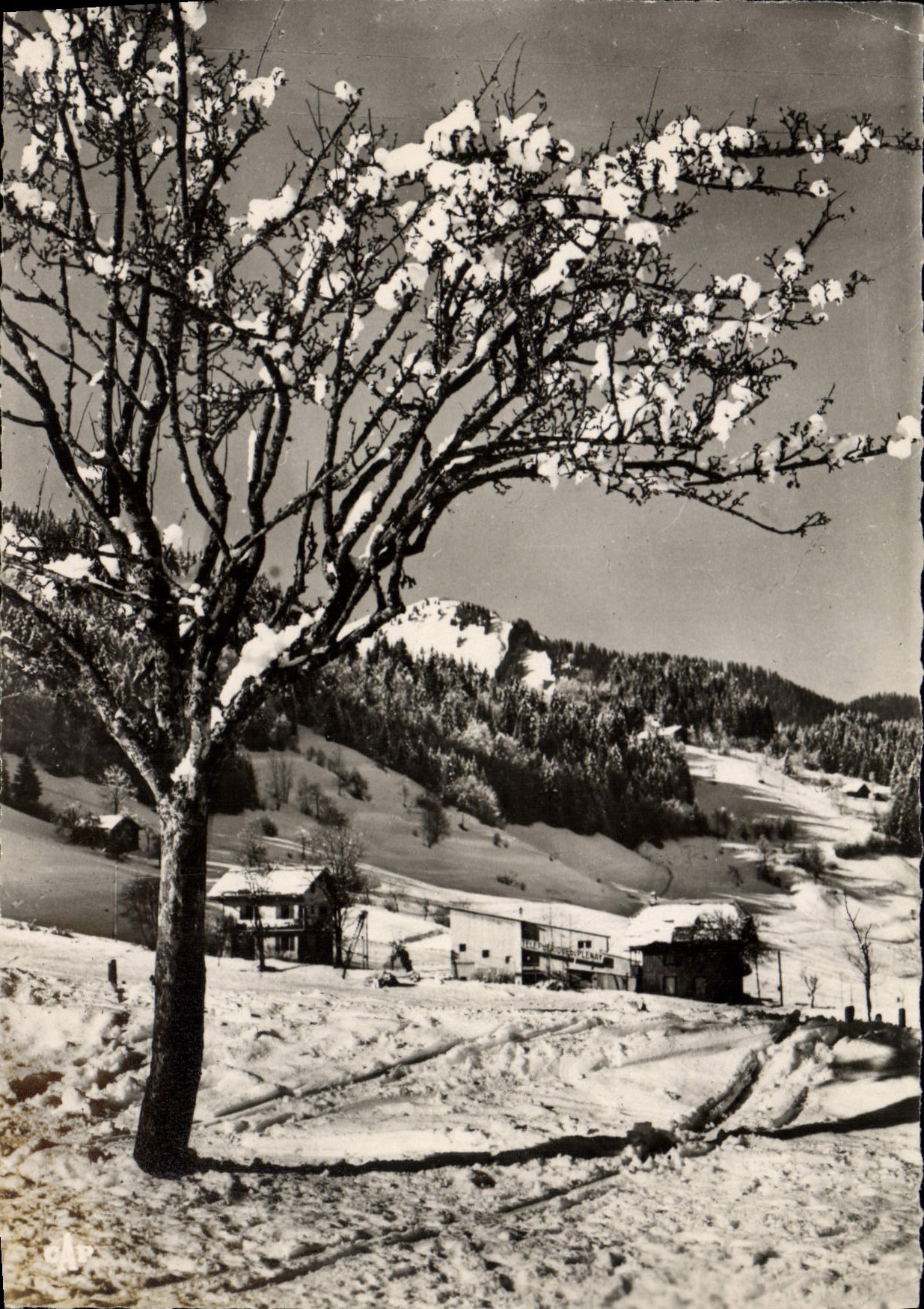 Morzine — Hiver — Sports d'Hiver — éditeur : CAP - 74