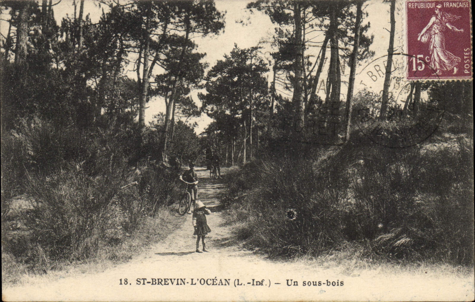 CPA St Brevin l'Ocean L Inf Un sous bois 