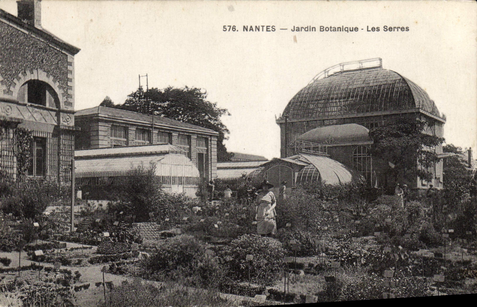 CPA Nantes Jardin Botanique Les Serres 
