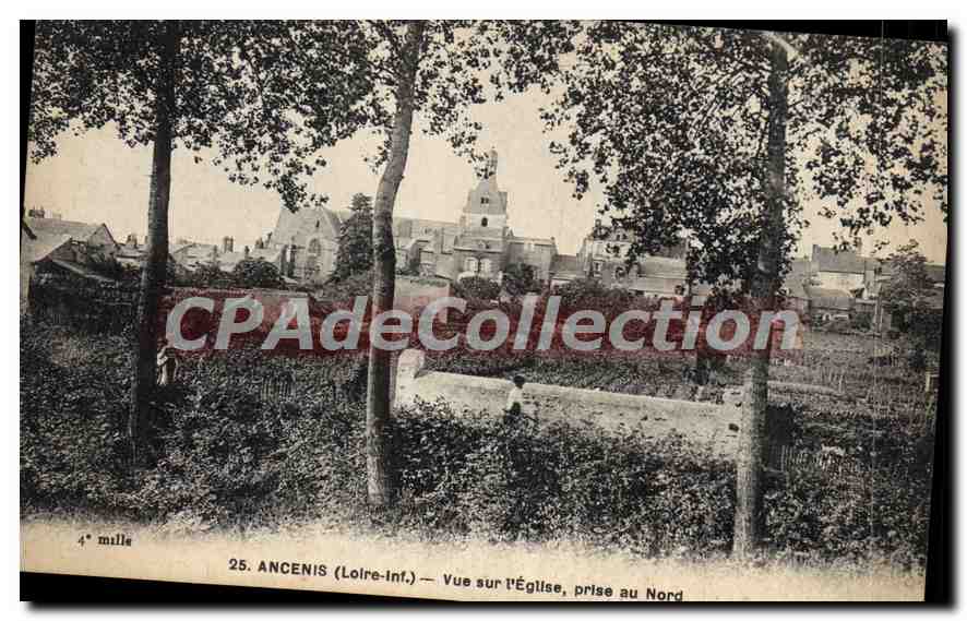 CPA Ancenis Loire Inf Vue sur l'Eglise prise au Nord 