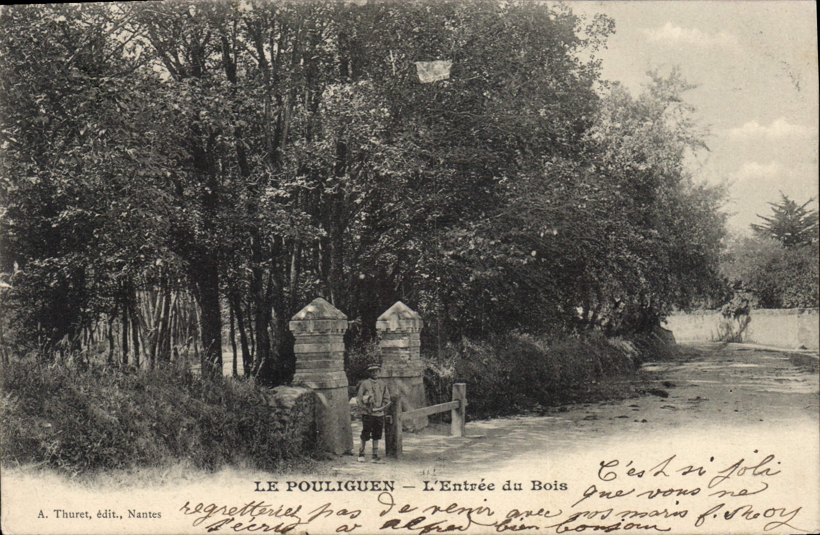 CPA Le Pouliguen l'Entree du Bois 