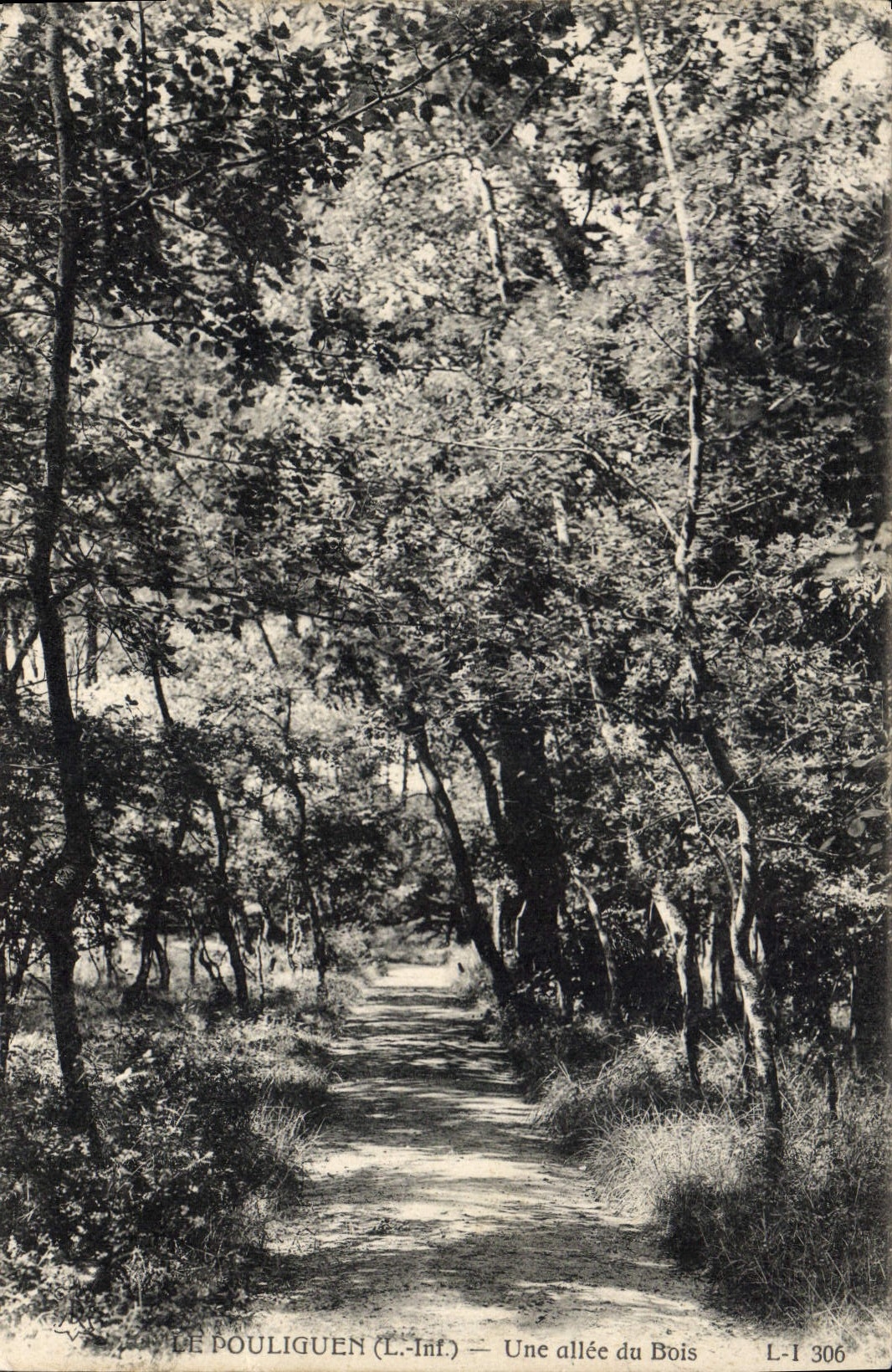 CPA Le Pouliguen L Inf Une allee du Bois 