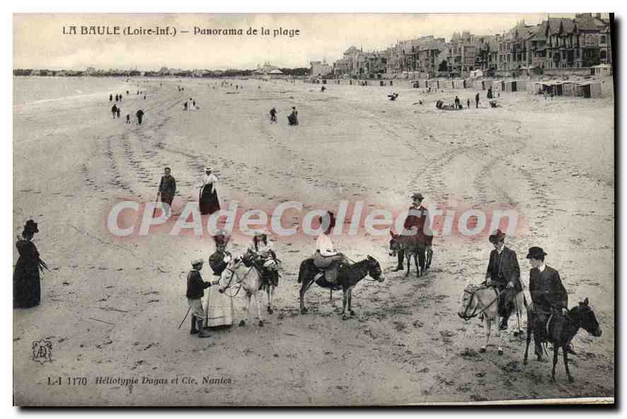 CPA La Baule Loire Inf Panorama de la plage âne