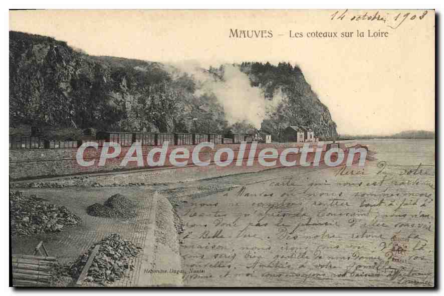 CPA Mauves Les coteaux sur la Loire 