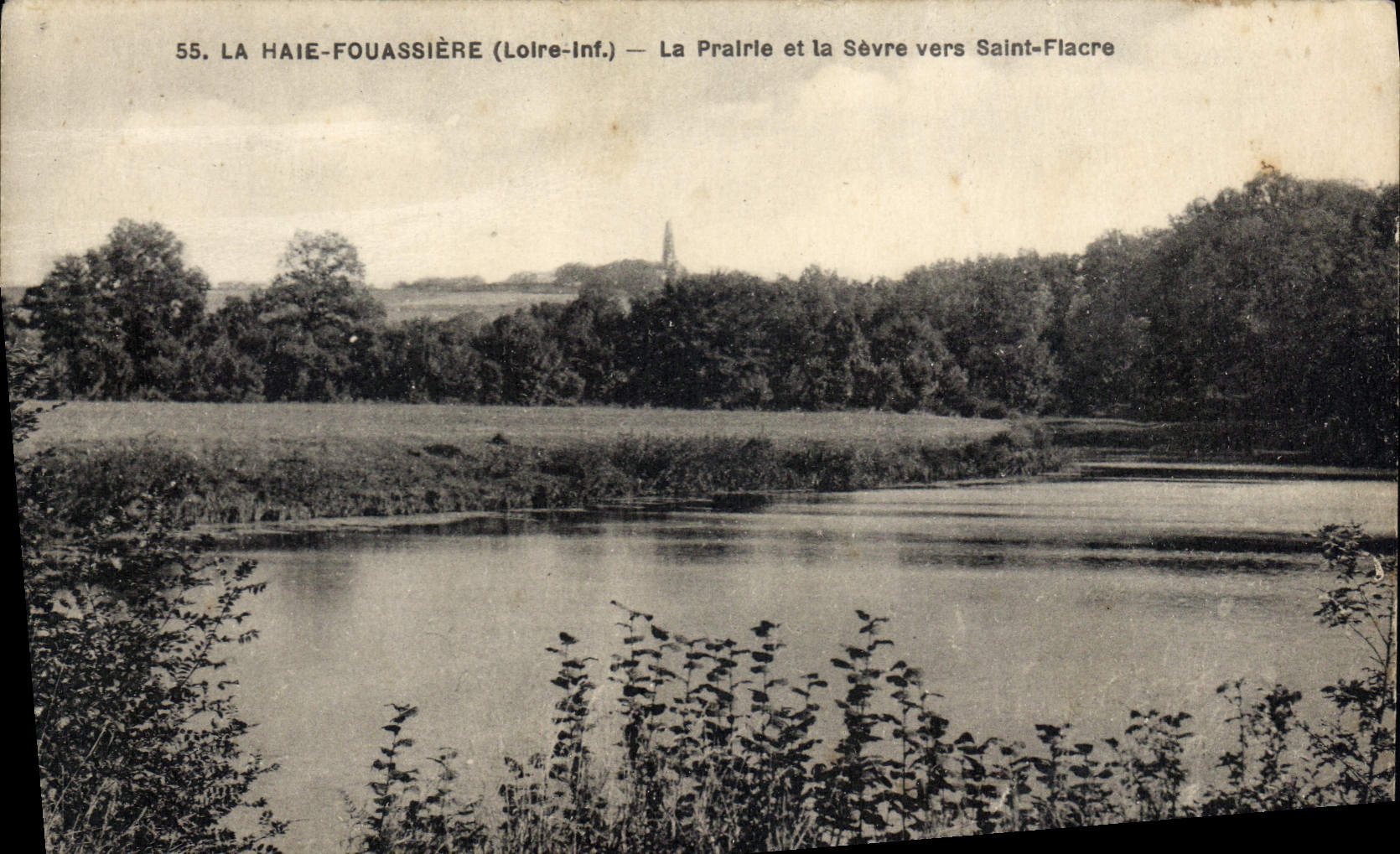 CPA La Haie Fouassiere Loire Inf La Prairie et la Sevre vers Saint Flacre 