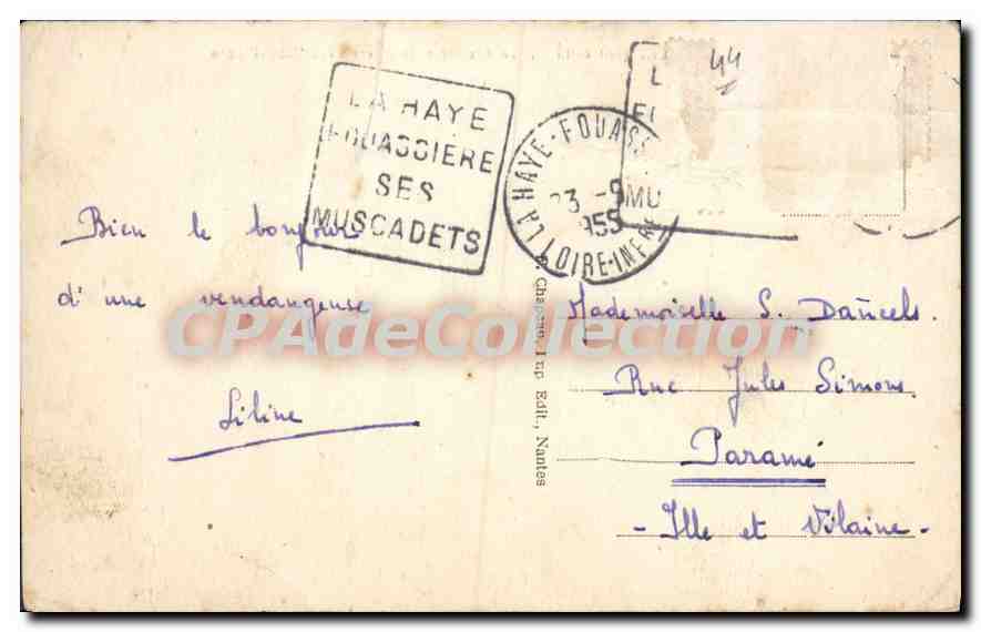 CPA La Haie Fouassiere Loire Inf La Prairie et la Sevre vers Saint Flacre  — Rückseite