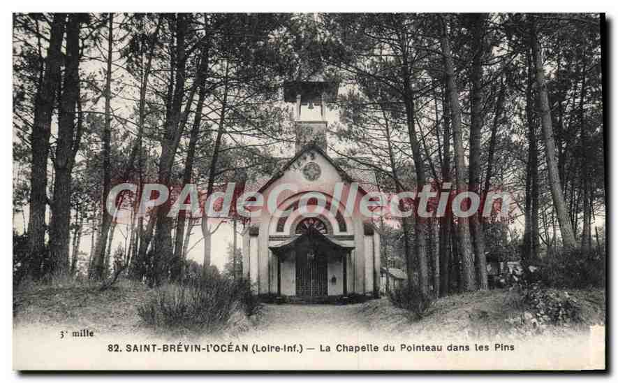 CPA Saint Brevin l'Ocean Loire Inf La Chapelle du Pointeau dans les Pins 