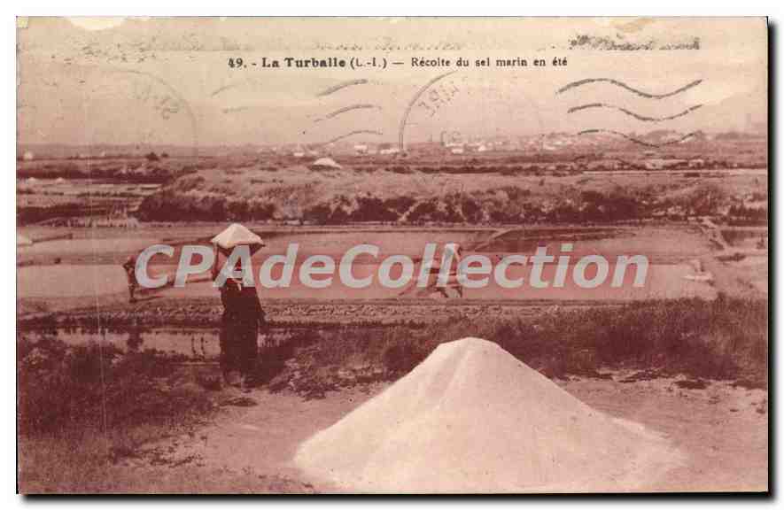 CPA La Turballe Recolte du sel marin en été