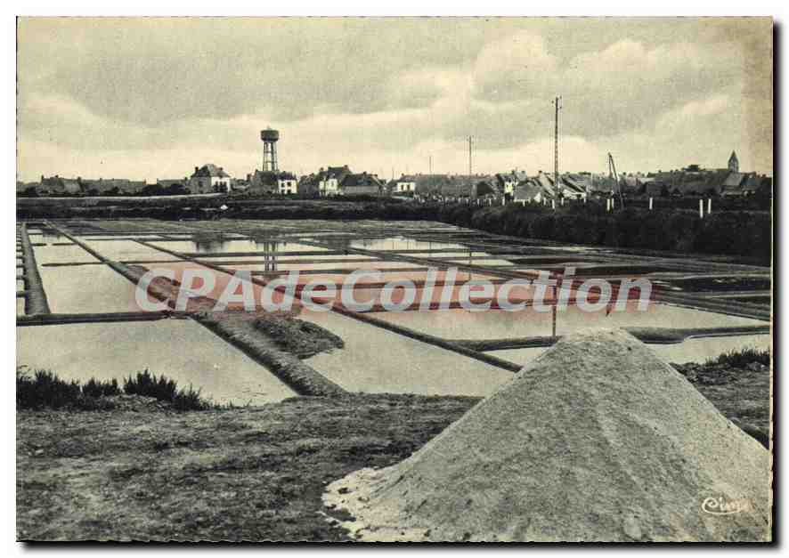 CPSM Guerande l Inf Marais salants de Saille vers le Pouliguen 