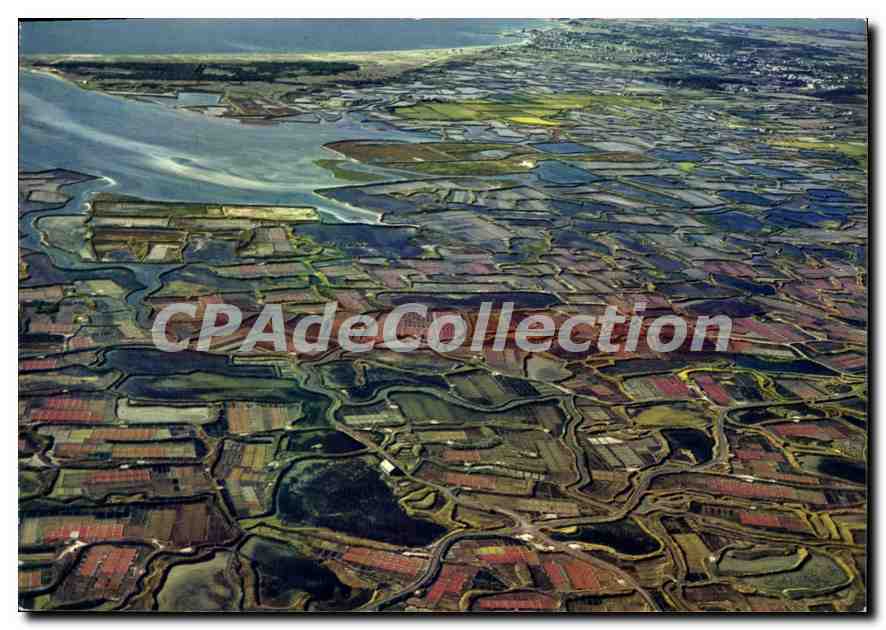 CPSM Le Pays guerandais vue aerienne des marais salants etrange mosaique ou se distingue le quadrill