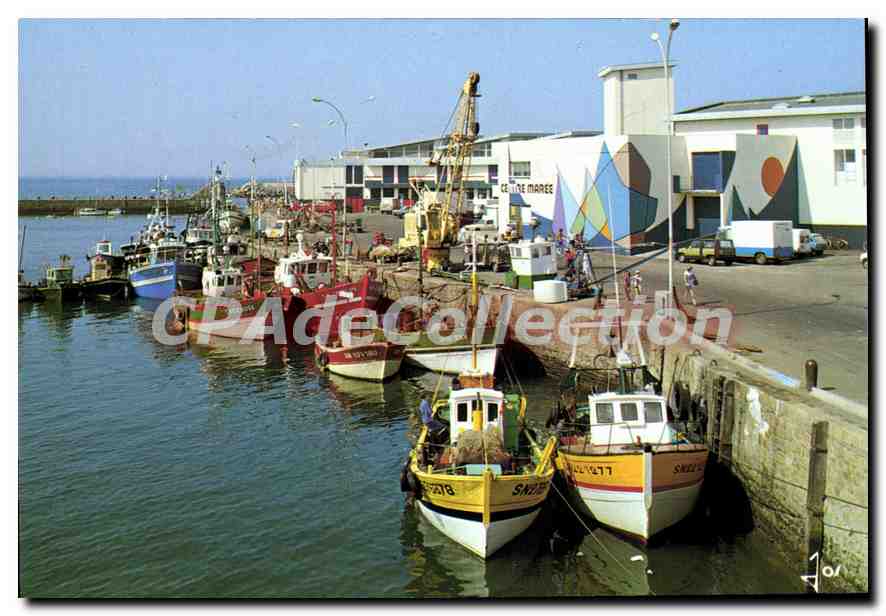 CPSM Le port et la Criée de la Turballe 