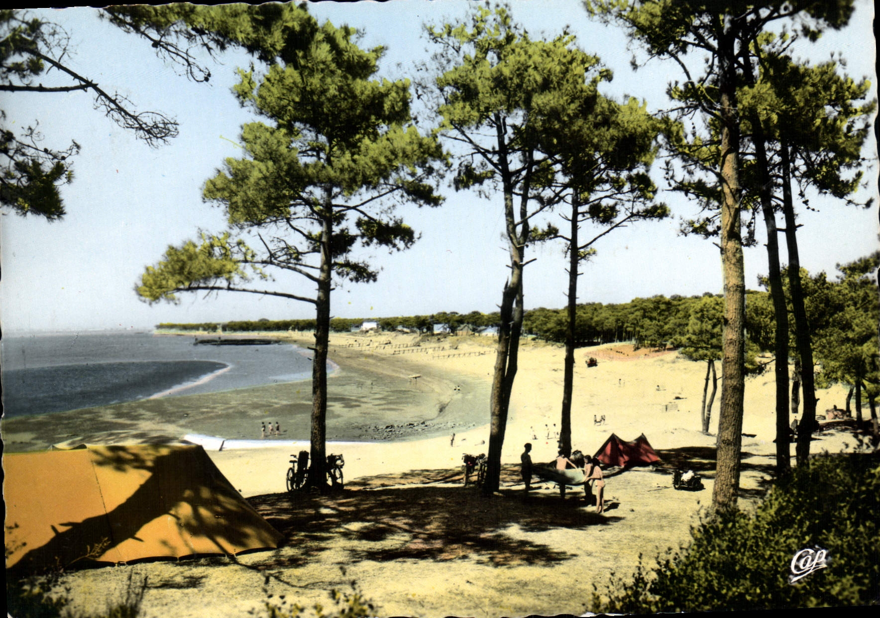 CPSM Cote de Jade Saint Brevin la plage et les Pins 